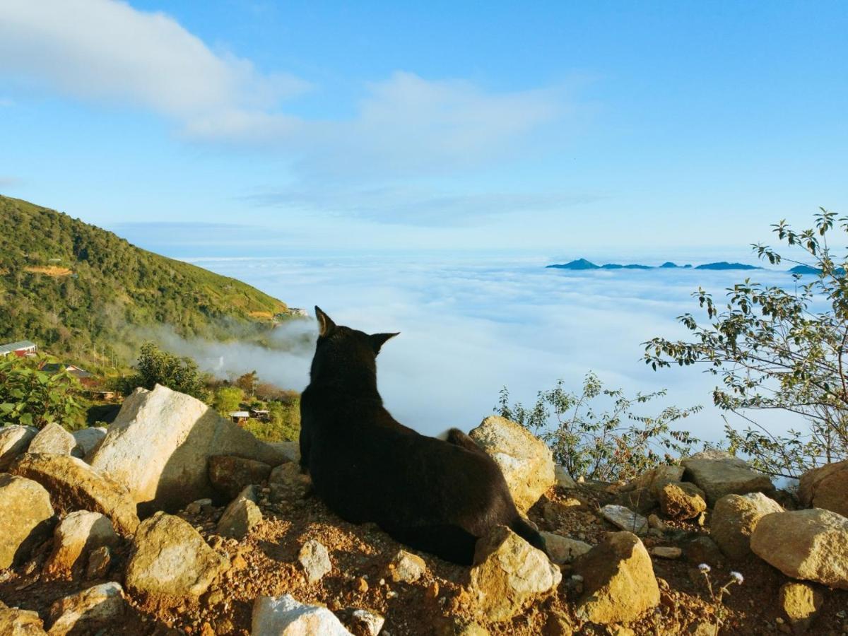 1941M Homestay Ta Xua Bac Yen Dış mekan fotoğraf